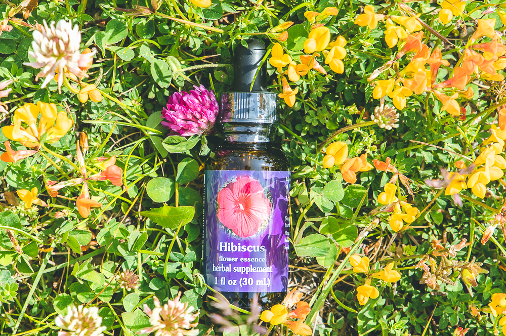Élixir floral HIBISCUS – 30 ml – Image 2