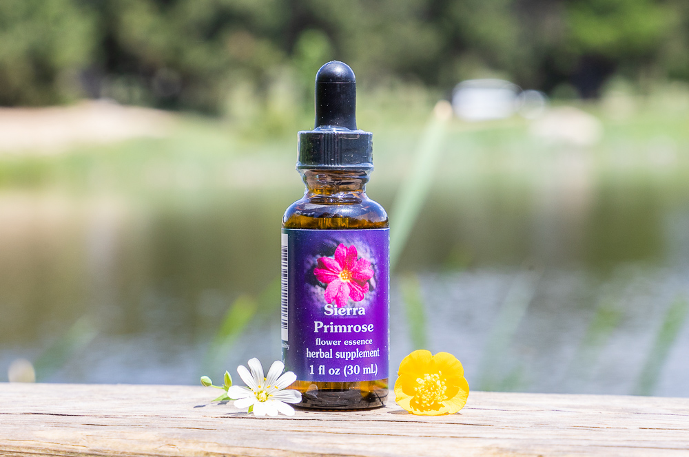 Élixir floral SIERRA PRIMROSE – 30 ml – Image 2