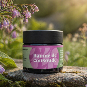 Baume de consoude BIO – 50 ml